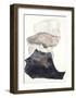 Organza 3-Design Fabrikken-Framed Art Print