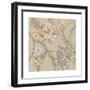 Organza Chintz I-Chariklia Zarris-Framed Art Print