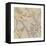 Organza Chintz I-Chariklia Zarris-Framed Stretched Canvas