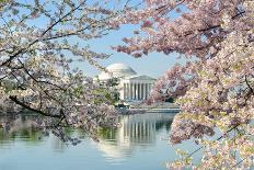 Spring in Washington DC - Cherry Blossom Festival at Jefferson Memorial-Orhan-Photographic Print