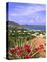 Orient Bay, St. Martin, Caribbean-Michael DeFreitas-Stretched Canvas