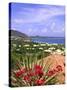 Orient Bay, St. Martin, Caribbean-Michael DeFreitas-Stretched Canvas