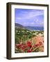 Orient Bay, St. Martin, Caribbean-Michael DeFreitas-Framed Photographic Print