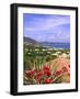 Orient Bay, St. Martin, Caribbean-Michael DeFreitas-Framed Photographic Print