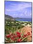 Orient Bay, St. Martin, Caribbean-Michael DeFreitas-Mounted Photographic Print