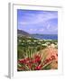 Orient Bay, St. Martin, Caribbean-Michael DeFreitas-Framed Photographic Print