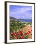 Orient Bay, St. Martin, Caribbean-Michael DeFreitas-Framed Photographic Print