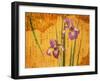 Oriental Batik Style Purple Bearded Iris and Green Leaves on Mottled Gold Background-null-Framed Premium Photographic Print