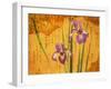 Oriental Batik Style Purple Bearded Iris and Green Leaves on Mottled Gold Background-null-Framed Premium Photographic Print