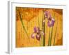 Oriental Batik Style Purple Bearded Iris and Green Leaves on Mottled Gold Background-null-Framed Photographic Print