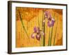 Oriental Batik Style Purple Bearded Iris and Green Leaves on Mottled Gold Background-null-Framed Photographic Print