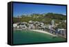 Oriental Bay, and Mt Victoria, Wellington, North Island, New Zealand-David Wall-Framed Stretched Canvas