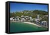 Oriental Bay, and Mt Victoria, Wellington, North Island, New Zealand-David Wall-Framed Stretched Canvas