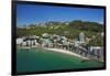 Oriental Bay, and Mt Victoria, Wellington, North Island, New Zealand-David Wall-Framed Photographic Print