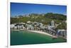 Oriental Bay, and Mt Victoria, Wellington, North Island, New Zealand-David Wall-Framed Premium Photographic Print