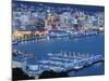 Oriental Bay and Wellington Harbour, Wellington, North Island, New Zealand, Pacific-Kober Christian-Mounted Photographic Print