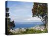 Oriental Bay and Wellington Harbour, Wellington, North Island, New Zealand, Pacific-Kober Christian-Stretched Canvas