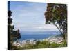 Oriental Bay and Wellington Harbour, Wellington, North Island, New Zealand, Pacific-Kober Christian-Stretched Canvas