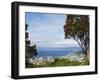 Oriental Bay and Wellington Harbour, Wellington, North Island, New Zealand, Pacific-Kober Christian-Framed Photographic Print