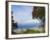 Oriental Bay and Wellington Harbour, Wellington, North Island, New Zealand, Pacific-Kober Christian-Framed Photographic Print