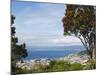 Oriental Bay and Wellington Harbour, Wellington, North Island, New Zealand, Pacific-Kober Christian-Mounted Photographic Print