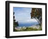 Oriental Bay and Wellington Harbour, Wellington, North Island, New Zealand, Pacific-Kober Christian-Framed Photographic Print