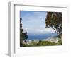 Oriental Bay and Wellington Harbour, Wellington, North Island, New Zealand, Pacific-Kober Christian-Framed Photographic Print