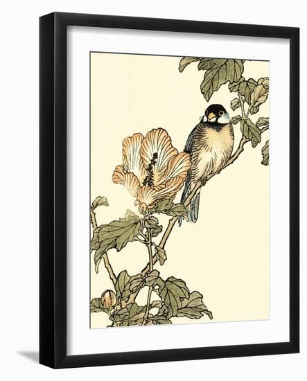 Oriental Bird on Branch I-Vision Studio-Framed Art Print