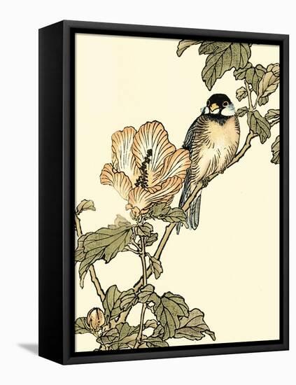 Oriental Bird on Branch I-Vision Studio-Framed Stretched Canvas