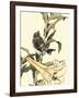 Oriental Bird on Branch II-Vision Studio-Framed Art Print