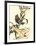 Oriental Bird on Branch II-Vision Studio-Framed Art Print