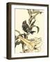 Oriental Bird on Branch II-Vision Studio-Framed Art Print