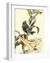 Oriental Bird on Branch II-Vision Studio-Framed Art Print