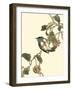 Oriental Bird on Branch III-Vision Studio-Framed Art Print