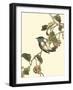 Oriental Bird on Branch III-Vision Studio-Framed Art Print