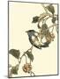 Oriental Bird on Branch III-Vision Studio-Mounted Art Print