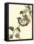 Oriental Bird on Branch III-Vision Studio-Framed Stretched Canvas