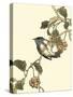 Oriental Bird on Branch III-Vision Studio-Stretched Canvas