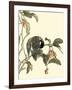 Oriental Bird on Branch IV-Vision Studio-Framed Art Print