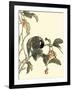 Oriental Bird on Branch IV-Vision Studio-Framed Art Print