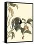 Oriental Bird on Branch IV-Vision Studio-Framed Stretched Canvas