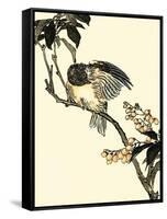 Oriental Bird on Branch V-Vision Studio-Framed Stretched Canvas