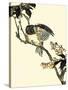 Oriental Bird on Branch V-Vision Studio-Stretched Canvas