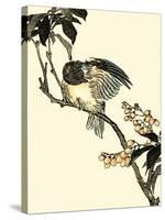 Oriental Bird on Branch V-Vision Studio-Stretched Canvas