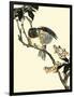 Oriental Bird on Branch V-Vision Studio-Framed Art Print