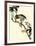 Oriental Bird on Branch V-Vision Studio-Framed Art Print