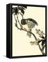 Oriental Bird on Branch V-Vision Studio-Framed Stretched Canvas