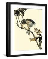 Oriental Bird on Branch V-Vision Studio-Framed Art Print