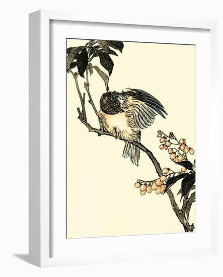 Oriental Bird on Branch V-Vision Studio-Framed Art Print