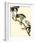 Oriental Bird on Branch V-Vision Studio-Framed Art Print